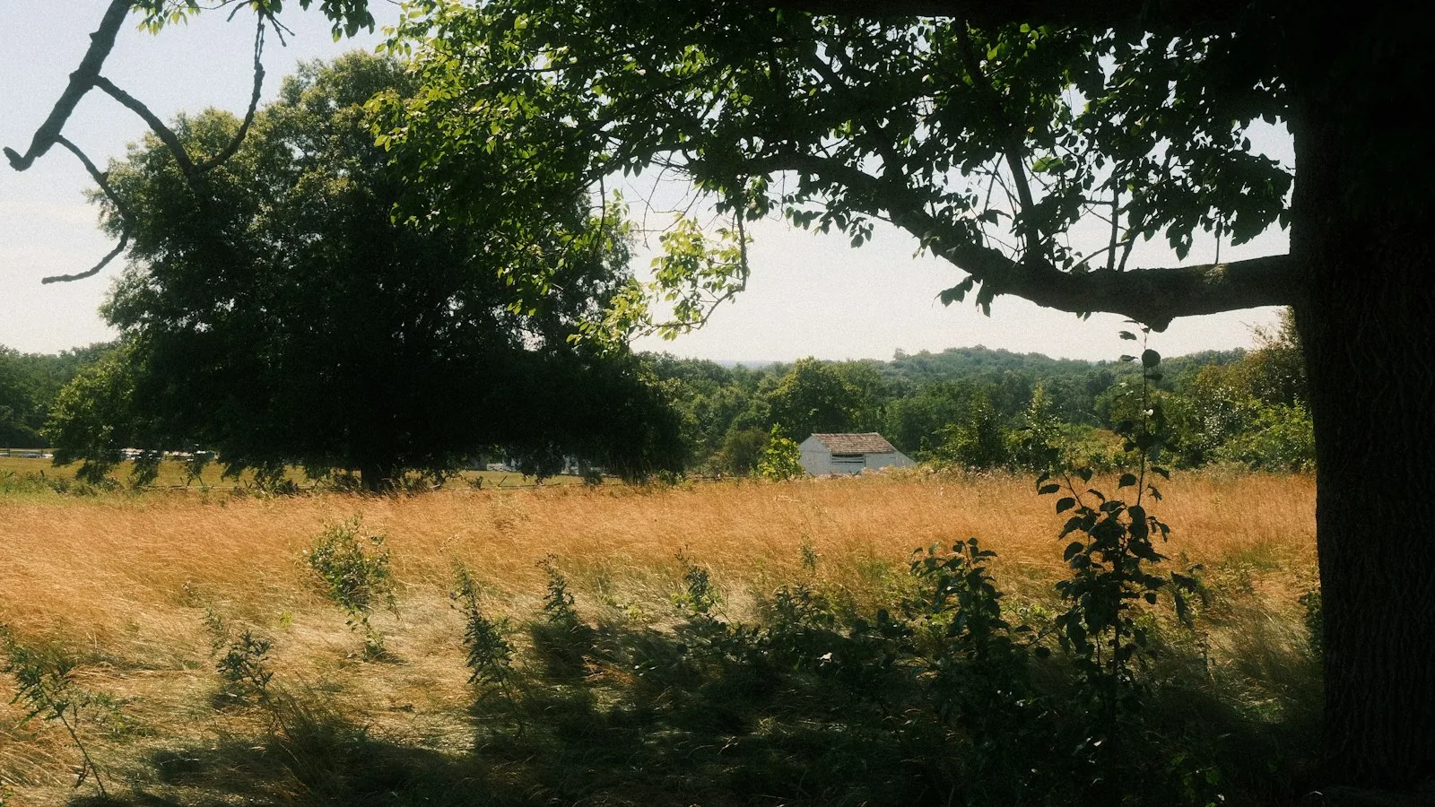 Open field and historic landscape in Gettysburg Pennsylvania