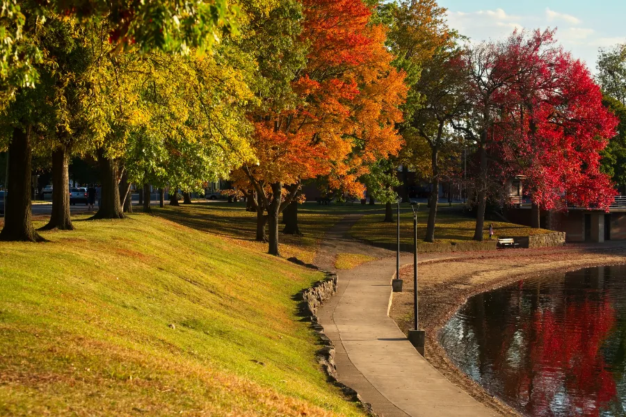 Tree-lined path beside the water in autumn