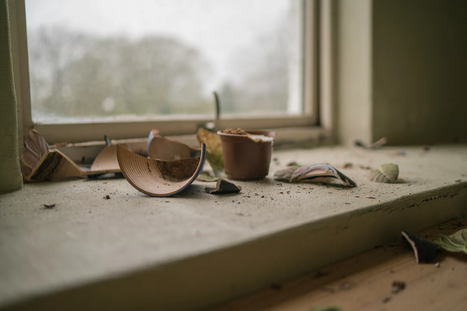 Broken ceramic vase scattered across a windowsill