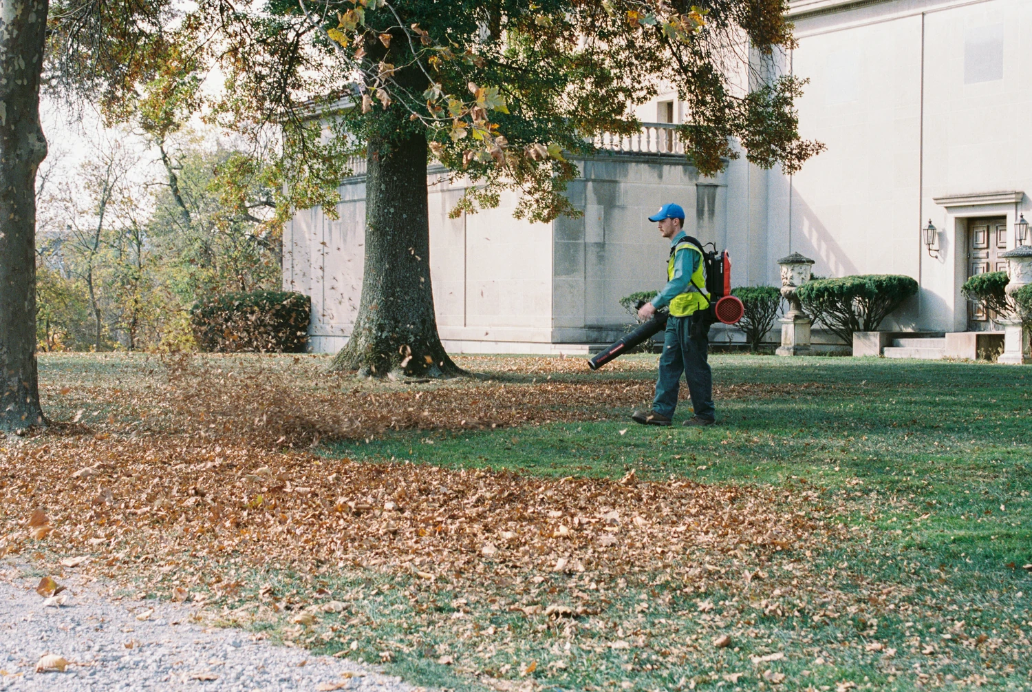 Landscaper clearing leaves with a leaf blower