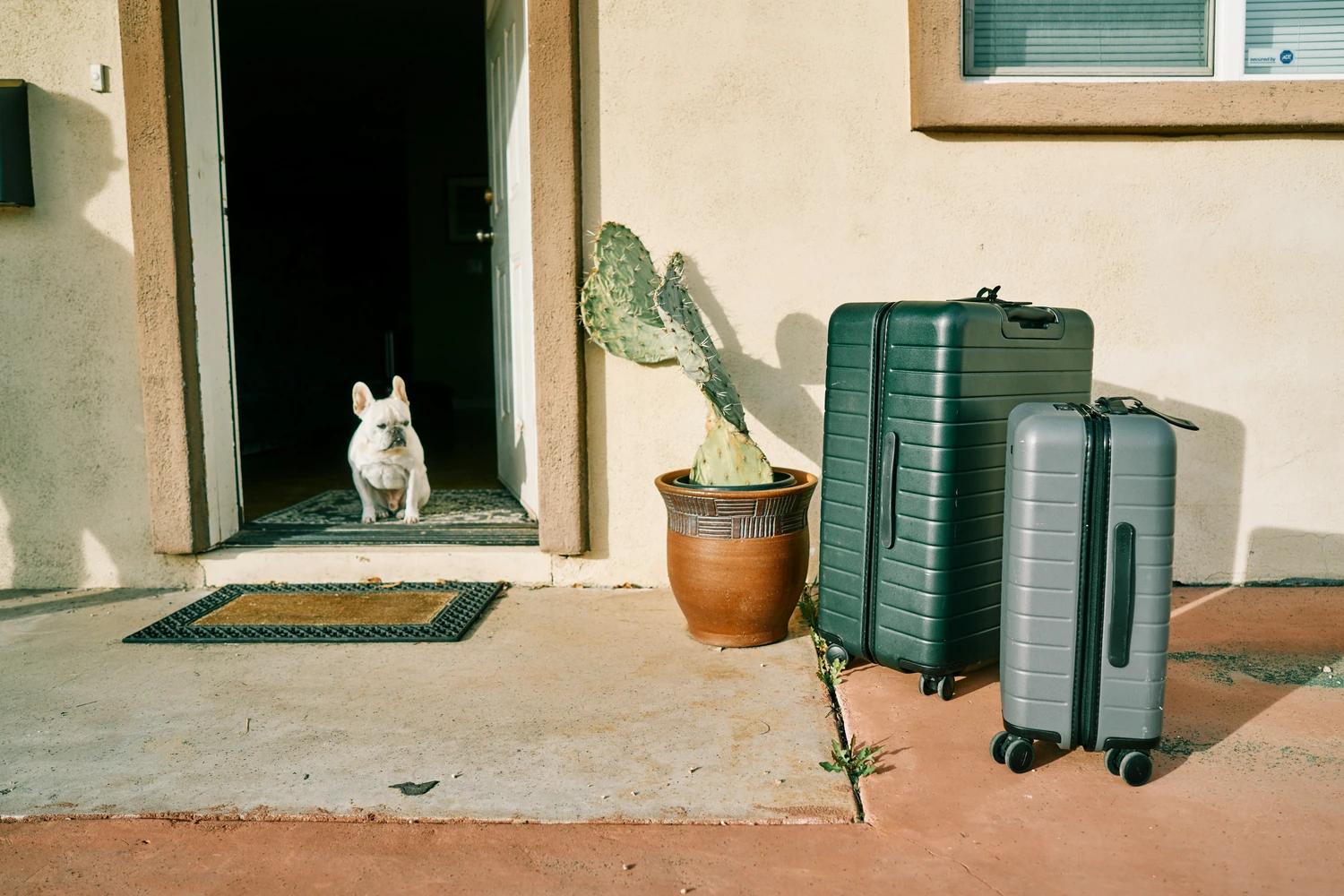 Suitcases outside a doorway beside a white cat