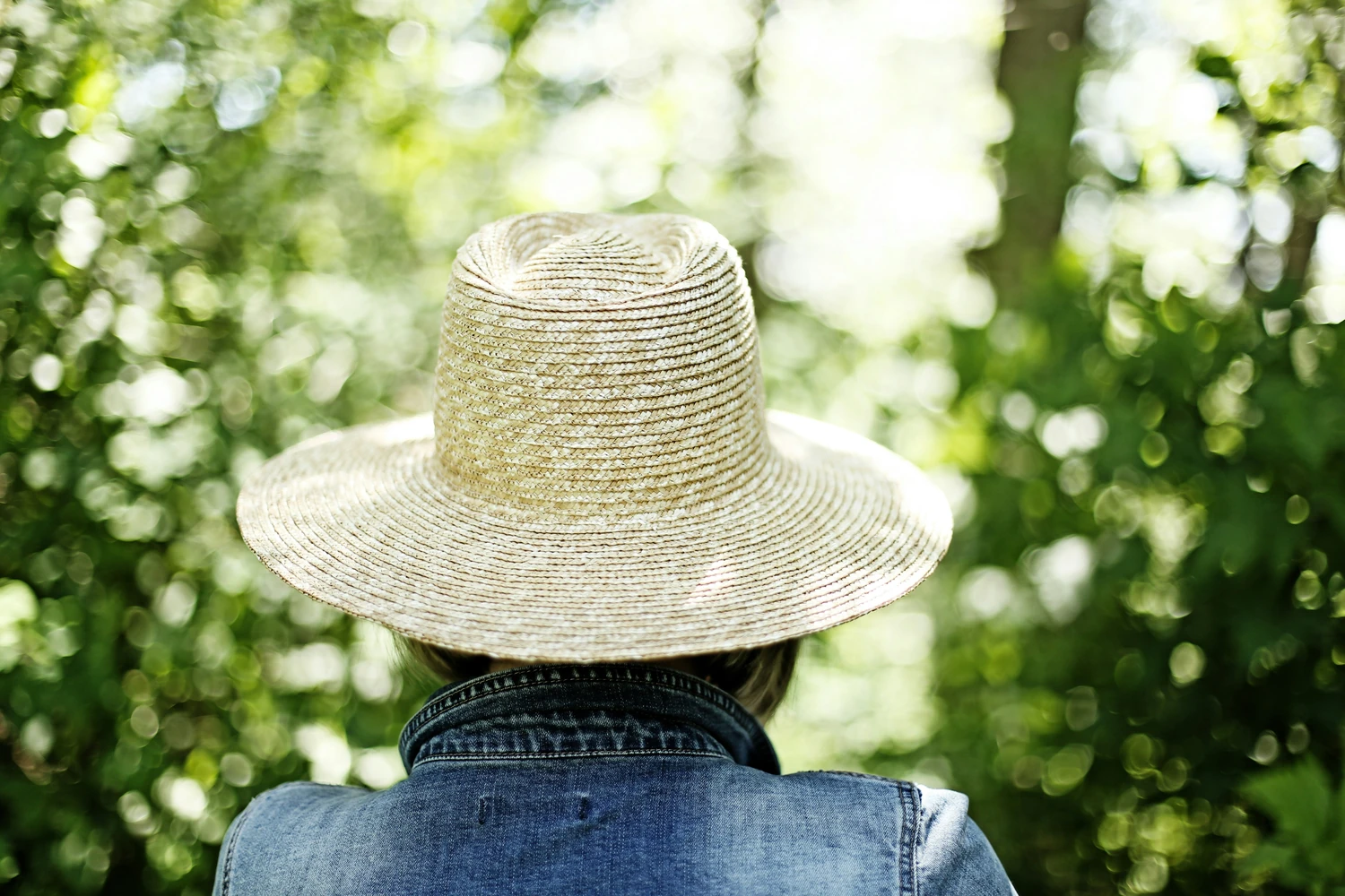 Traveler in a straw hat standing beneath leafy trees