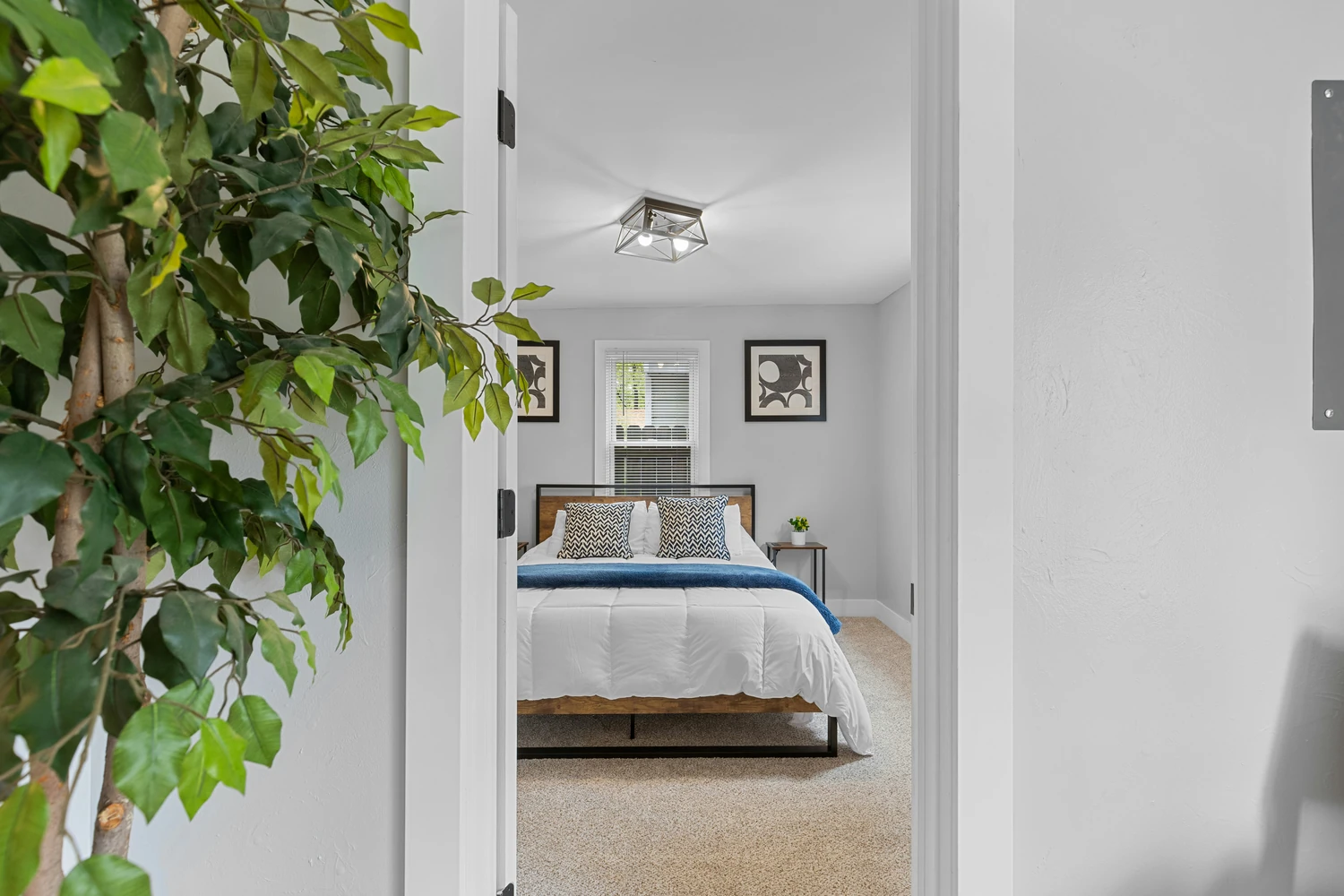 Bright bedroom with a ceiling fan and leafy indoor plant