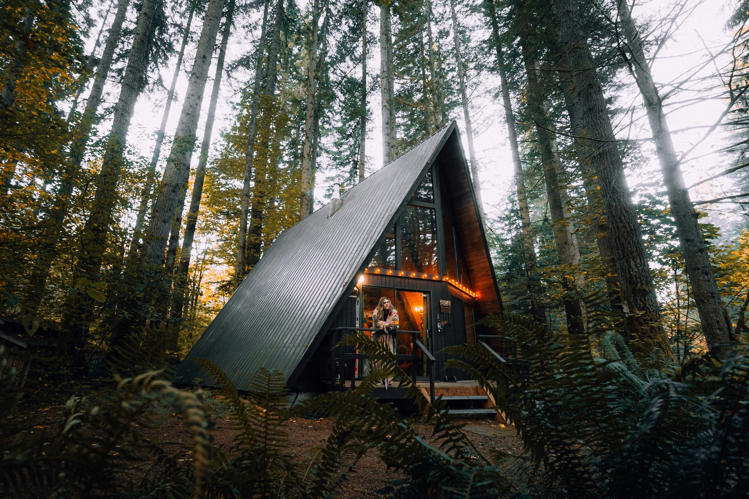 A-frame cabin glowing among tall forest trees